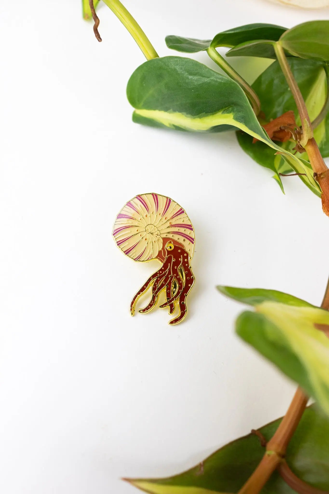 Ammonite Pin