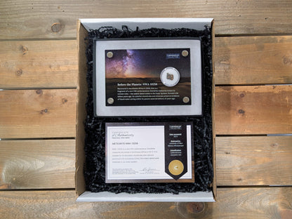 Meteorite NWA 10256