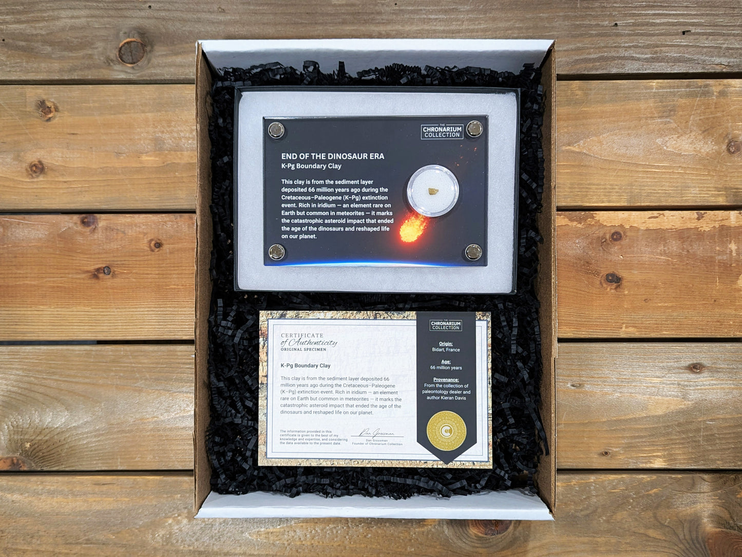 End of the Dinosaur Era