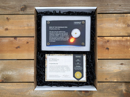 End of the Dinosaur Era