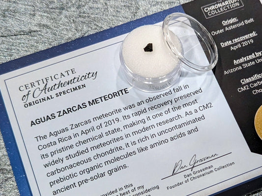 Aguas Zarcas Meteorite