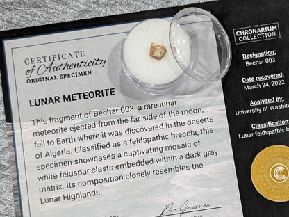 Lunar Highlands Meteorite
