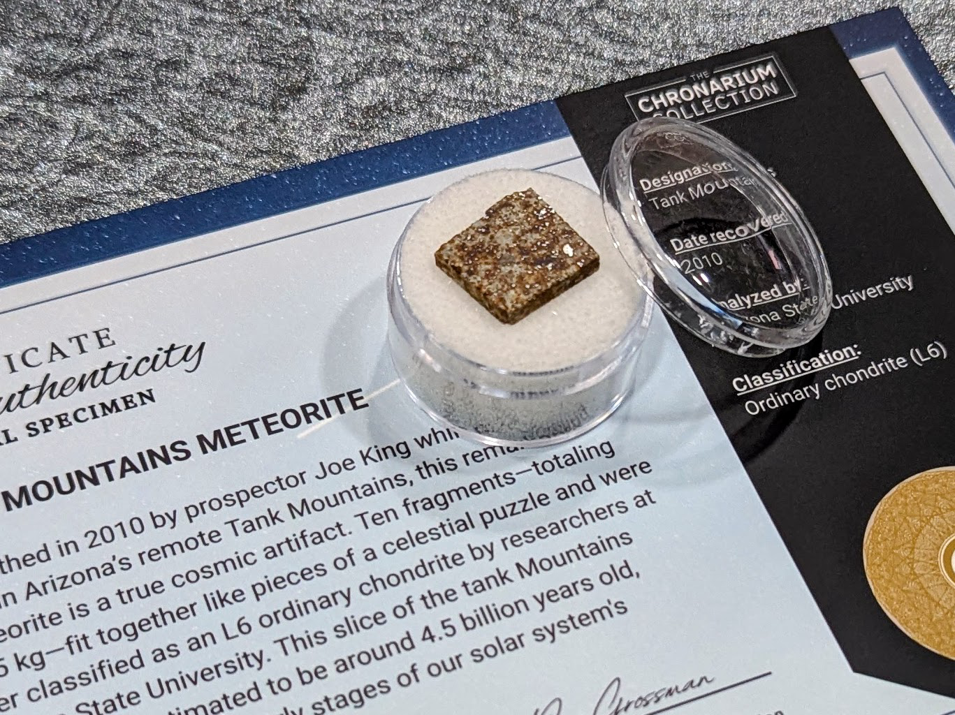 Early Solar System Meteorite