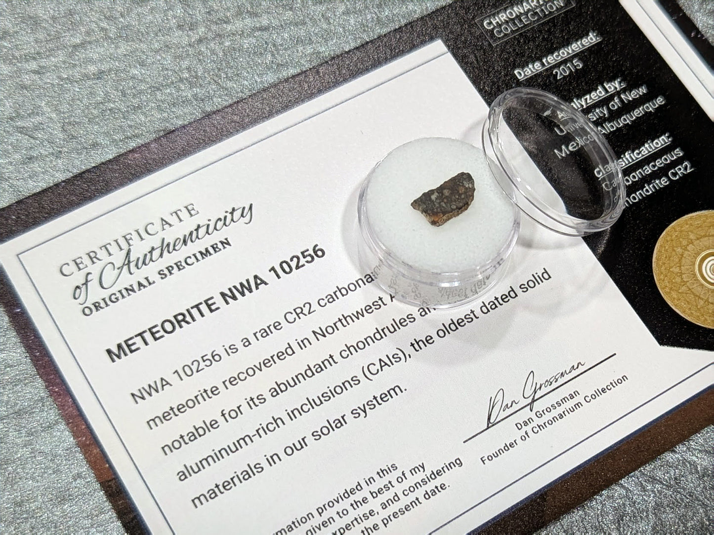 Meteorite NWA 10256