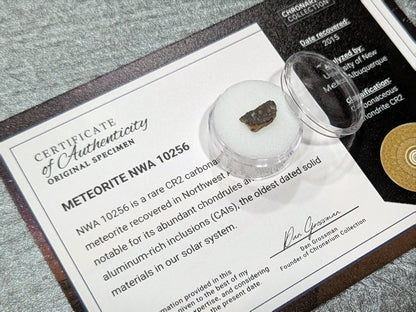 Meteorite NWA 10256