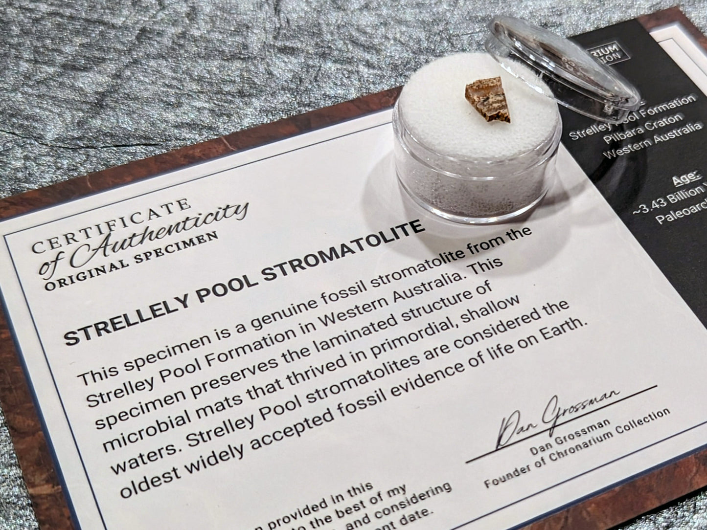 World's Oldest Fossil