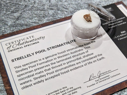 World's Oldest Fossil