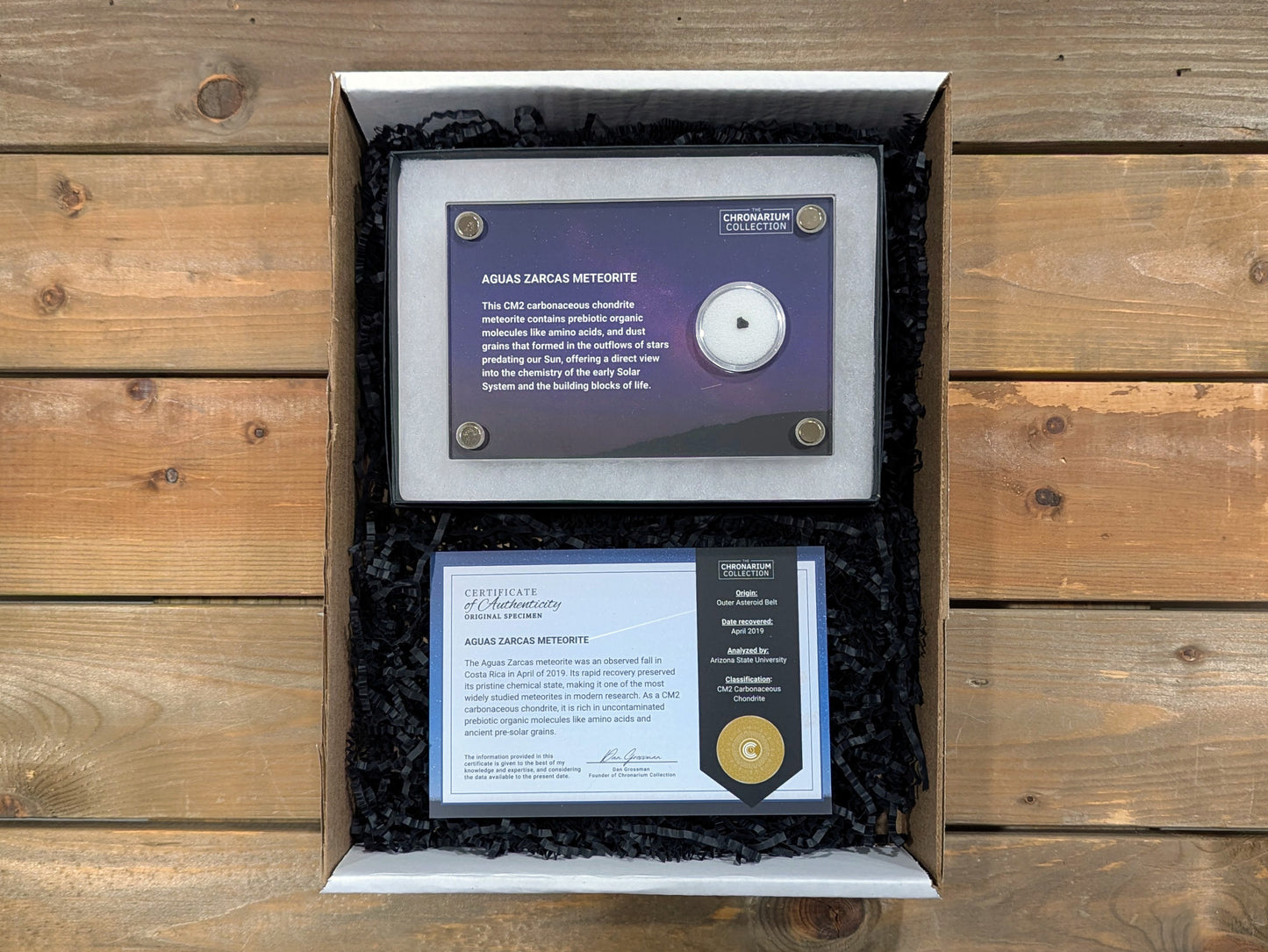 Aguas Zarcas Meteorite