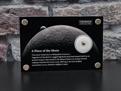 A Piece of the Moon