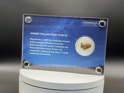 Admire Pallasite Meteorite