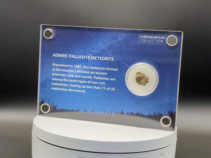 Admire Pallasite Meteorite