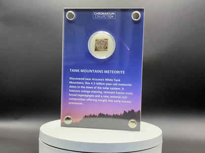 Early Solar System Meteorite