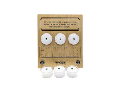 Aguas Zarcas Meteorite