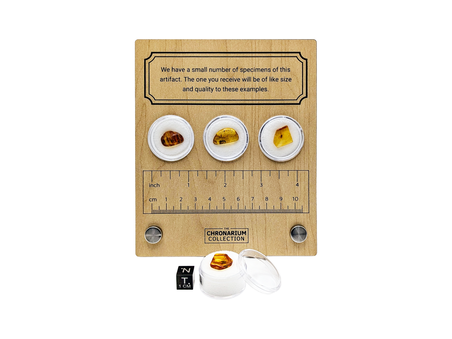 Fossilized Insect in Amber