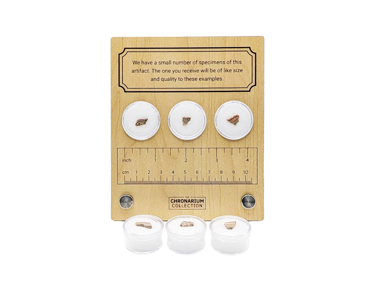 World's Oldest Fossil