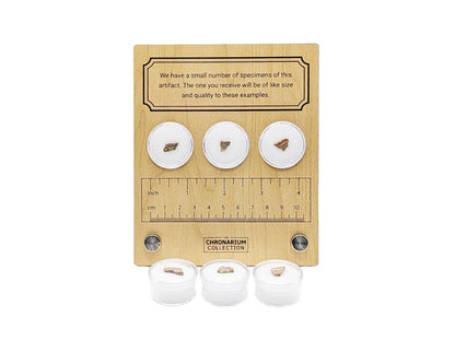 World's Oldest Fossil