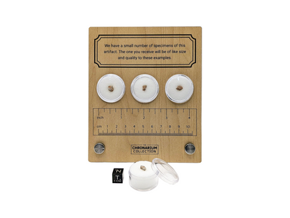 Lunar Highlands Meteorite