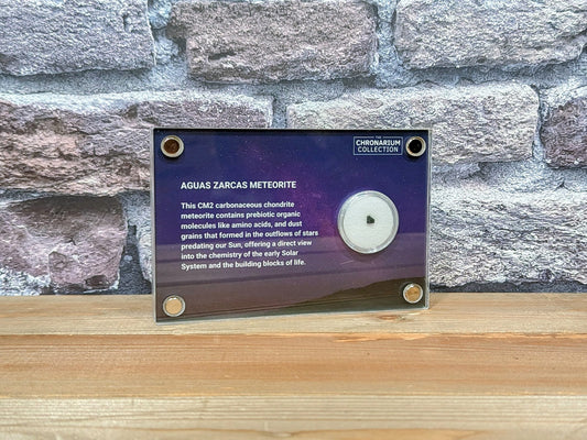 Aguas Zarcas Meteorite