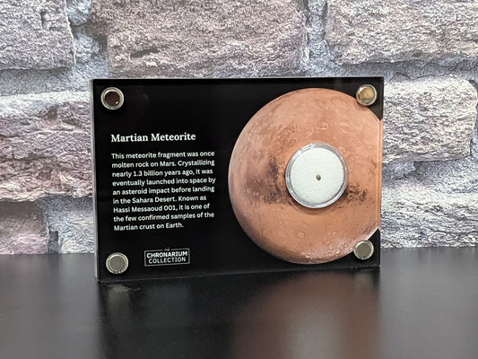 Martian Meteorite