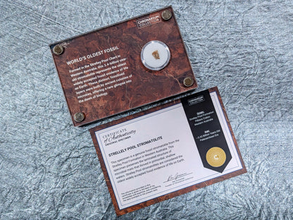 World's Oldest Fossil